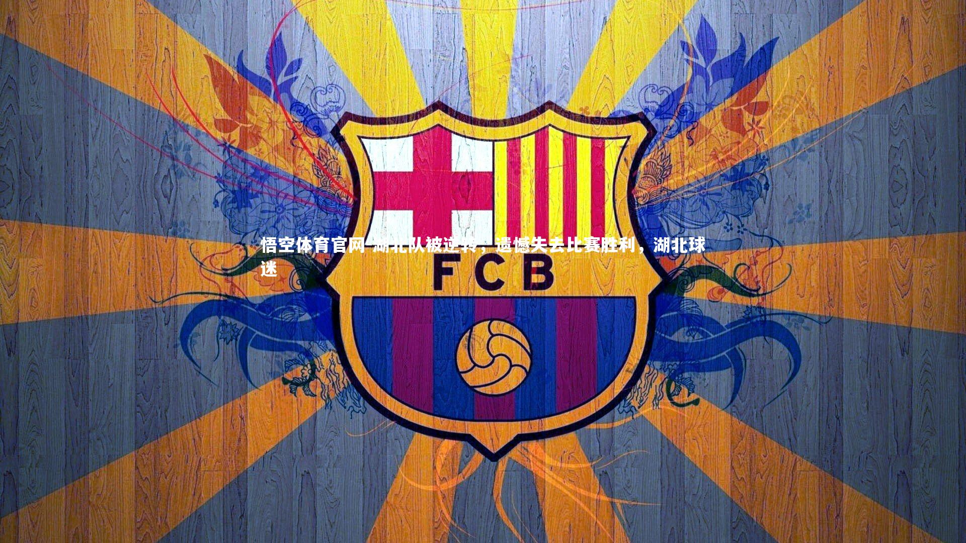 湖北队被逆转,遗憾失去比赛胜利,湖北球迷