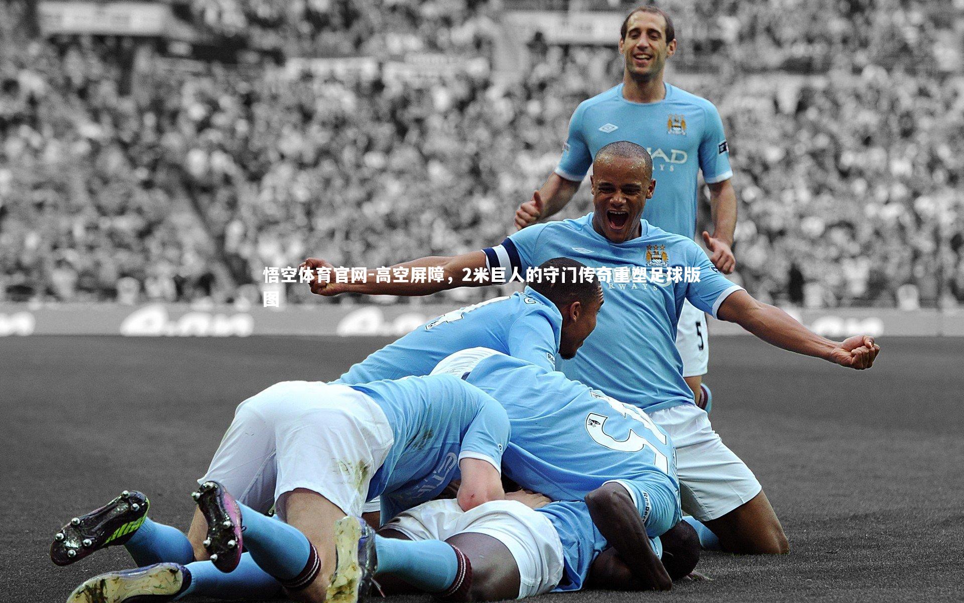 高空屏障，2米巨人的守门传奇重塑足球版图